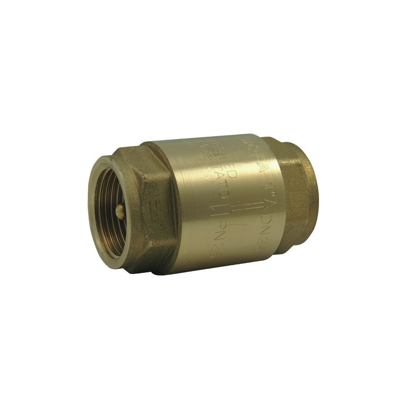 Brass spring check valve europa