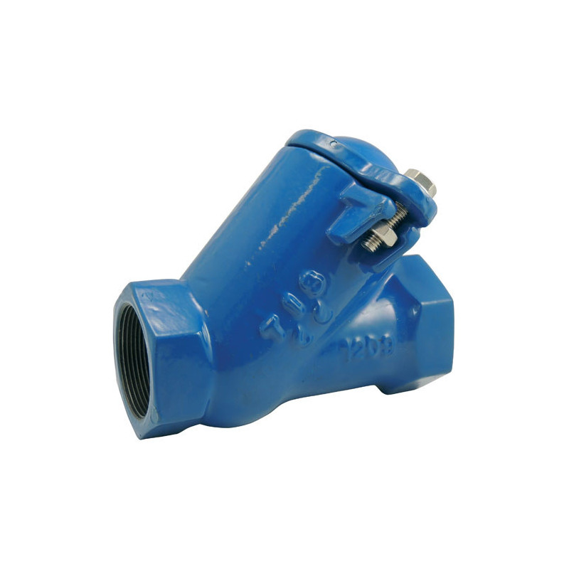 Cast iron threaded, ball check valve