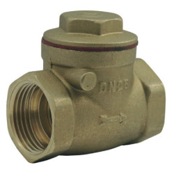 Clapet à battant laiton...