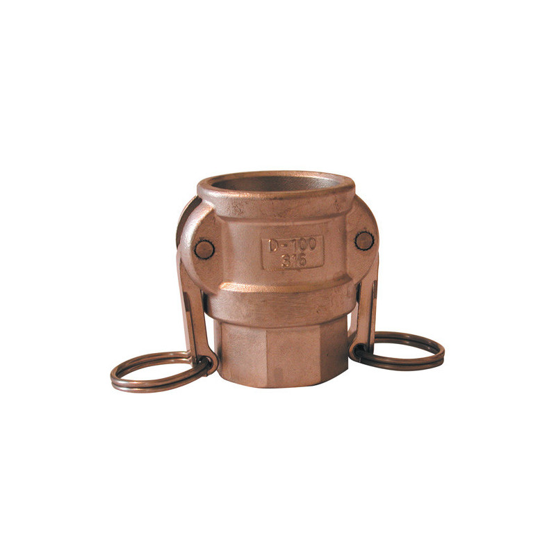 Brass Female coupling type d
