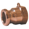 Brass Female adaptor, type a